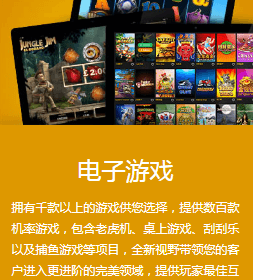 电子游戏